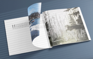 Buch 2025-06-04 um 14.04.12